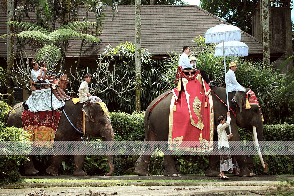  巴厘岛大象公园婚礼