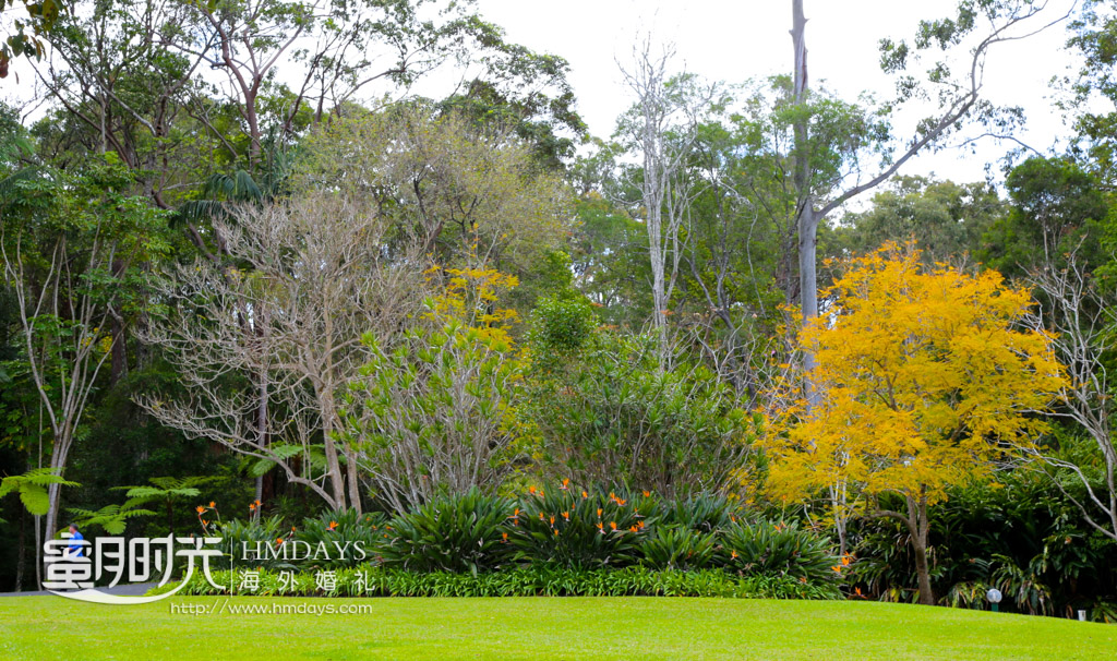 大草坪另一个角度 澳洲婚礼庄园内景