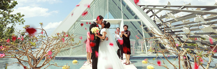 巴厘岛白鸽教堂婚礼视频