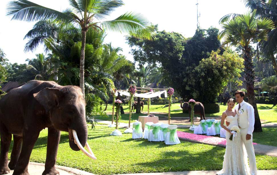 ELEPHANT SAFARI|巴厘岛大象公园婚礼|巴厘岛婚礼|海外婚礼|蜜月时光