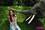  巴厘岛大象婚礼酒店(elephant safari park lodge bali)