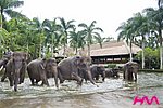  巴厘岛大象婚礼酒店(elephant safari park lodge bali)
